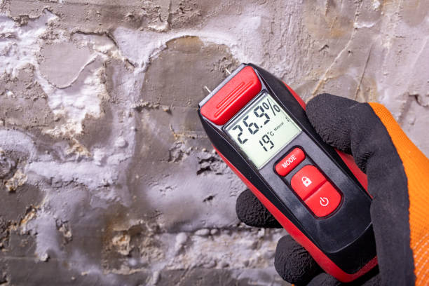 Best Residential Mold Removal  in Birch Bay, WA