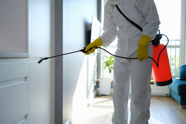 Office Mold Removal Services in Birch Bay, WA